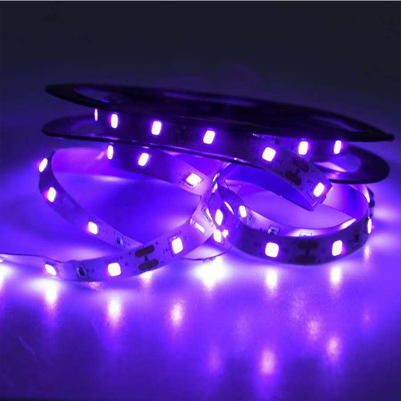 UV LED Ultraviolet Light, Blac - Uv Led Lamp Nail ulasan dan harga